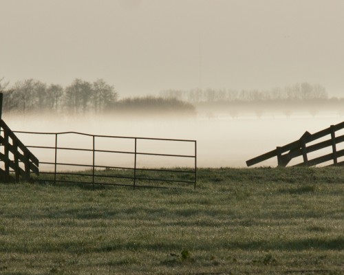 Mist en rijp