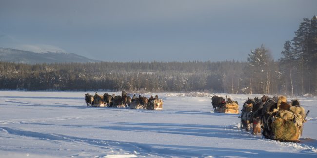 Forbönderna